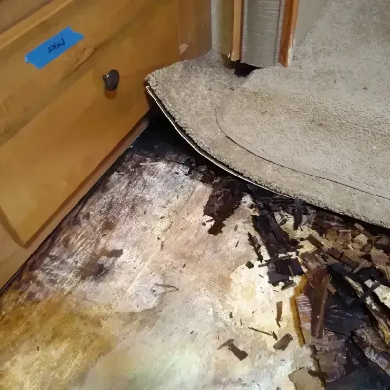 Wood Floor Water Damage in Redwood, OR